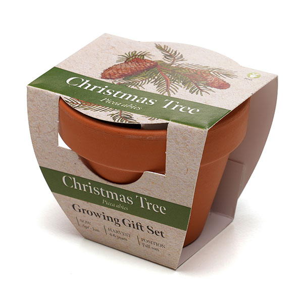 P043 Terracotta Flower Pot