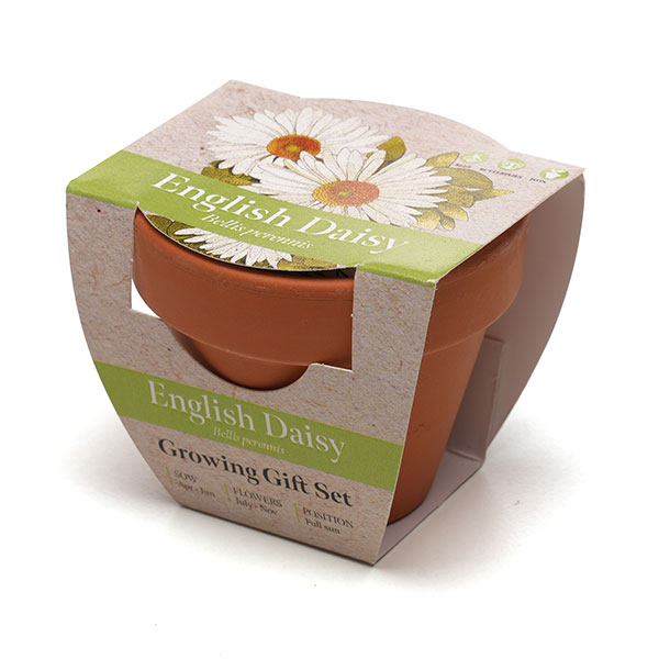 P043 Terracotta Flower Pot