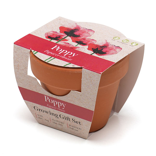 P043 Terracotta Flower Pot