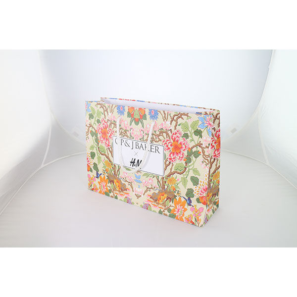 P074 Landscape Laminated Paper Carrier Bag - Small