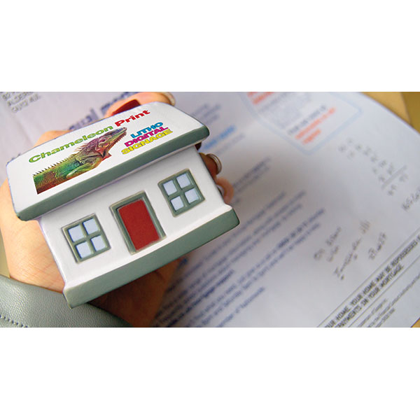 P047 House Stress Ball - Full Colour