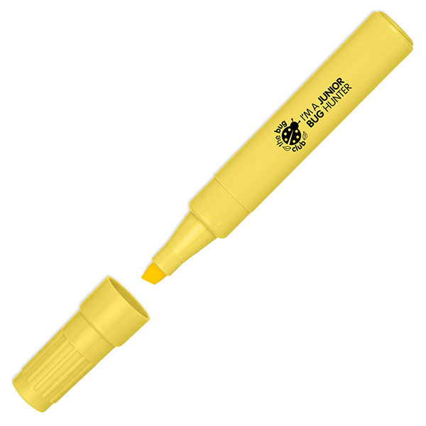 P136 Pastel Bold Highlighter