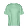 Q163 Neutral Tiger Oversize T-Shirt