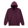 Q156 Gildan Heavy Blend Hooded Sweatshirt