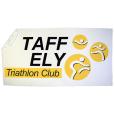 Q168 Printed Sports Towel