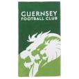 Q168 Printed Beach Towel