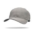 Q172 Beyond Wolf Brushed Cotton Cap