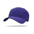 Q172 Beyond Wolf Brushed Cotton Cap