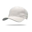 Q172 Beyond Wolf Brushed Cotton Cap