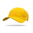 Q172 Beyond Wolf Brushed Cotton Cap