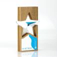 Q096 Acrylic Inset Star Award