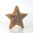 Q096 Solid Beech Faceted Award
