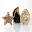 Q096 Solid Beech Faceted Award