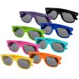N028 Sun Ray Sunglasses