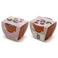 Q059 Terracotta Flower Pot