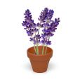 Q059 Terracotta Flower Pot
