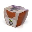 Q059 Terracotta Flower Pot