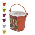 Q059 Coloured Mini Bucket Grow Kit