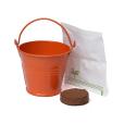 Q059 Coloured Mini Bucket Grow Kit