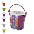 Q059 Coloured Mini Bucket Grow Kit
