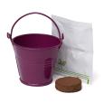 Q059 Coloured Mini Bucket Grow Kit