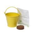 Q059 Coloured Mini Bucket Grow Kit