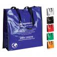 H101 Biodegradable Shopping Bag