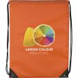 N066 Verve Drawstring Bag - Full Colour