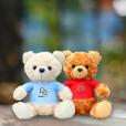 Q142 Bespoke Plush Toy - 20cm