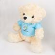 Q142 Bespoke Plush Toy - 20cm
