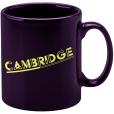 N094 Cambridge Mug - Coloured