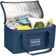 Q052 Tonbridge Recycled 12 Can Cooler - Spot Colour