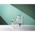 Q094 Chili Calypso Double Walled Drinking Glass - 330ml - Full Colour