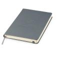 N146 Moleskine Classic Large Notebook - Spot Colour
