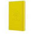 N146 Moleskine Classic Large Notebook - Spot Colour