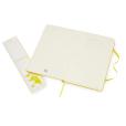 N146 Moleskine Classic Large Notebook - Spot Colour