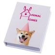N140  NoteStix Hardback Combi Set - Spot Colour (Sticky Notes)