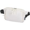 Q041 Puffer Waist Bag
