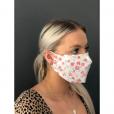 PPE  2 Ply Face Mask (non PPE)