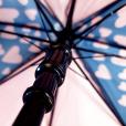 Q146 Executive Walker Umbrella