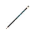 Q121 BIC Evolution Ecolutions Eraser Pencil - Spot Colour