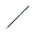 Q121 BIC Evolution Ecolutions Eraser Pencil - Spot Colour