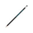 Q121 BIC Evolution Ecolutions Eraser Pencil - Full Colour