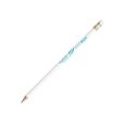 Q121 BIC Evolution Ecolutions Eraser Pencil - Full Colour
