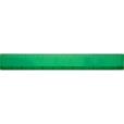 M063 BG 12 Inch/30cm Ruler - Spot Colour