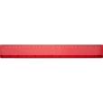 N139 BG 12 Inch Ruler - Spot Colour