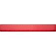 M063 BG 12 Inch/30cm Ruler - Spot Colour