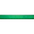 N139 BG 12 Inch Ruler - Full Colour