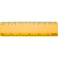N139 BG 6 Inch Ruler - Full Colour