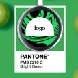 Q024 Gomi Design Wireless Fast Charging Pad